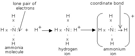 During the formation of an ammonium ion, nitrogen is the donor atom, while H<sup>+</sup> is the acceptor ion