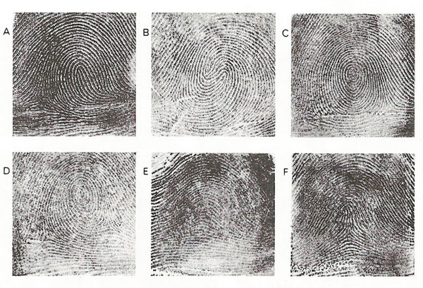 types of fingerprints