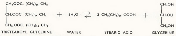 reaction between tristearoyl glycerine acid and water