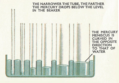 The level of mercury in tubes
