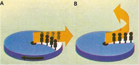 A ray of light passing a rotating wheel bearing a line of people would appear to be straight to an outside non-rotating observer [A]. As it passes, the people are carried away from it by the movement of the wheel. To them the ray appears to bend [B]. This analogy shows that light bends in an accelerating system and therefore, by equivalence, in a gravitational field