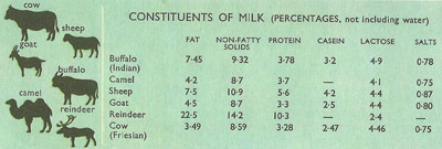 constituents of the milk of ruminants