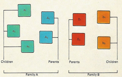 In this diagram of the families in the top picture, letters have been give to each of the elements in the set. The letters are then sufficient for the mathematical manipulation of of the set in what are called Venn diagrams, first introduced by the mathematician John Venn in 1880. In such diagrams, areas represent sets of things.