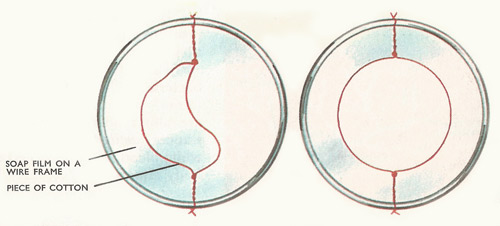If the part of the soap film inside the cotton loop is burst, surface tension pulls the loop equally in all directions, so that it forms a circle