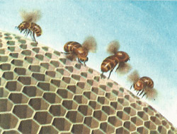 Ventilator bees at work