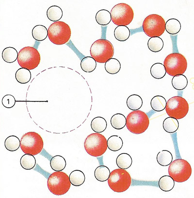 In water there are many temporary linkages (shown blue) between the molecules; very small cavities [1] form and vanish, giving water an ever-changing structure