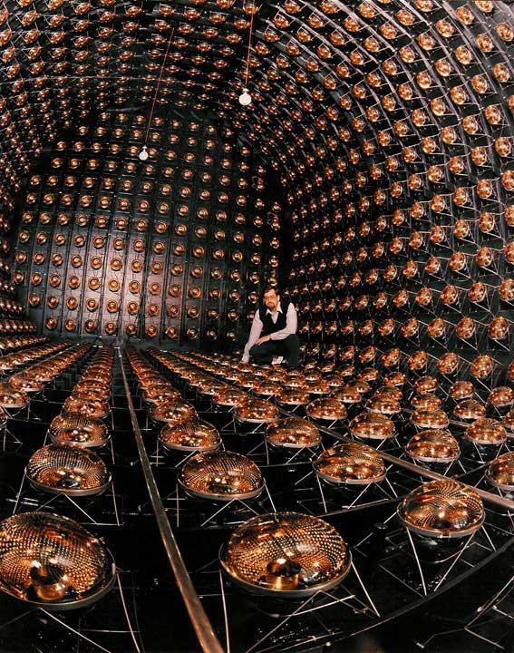 Liquid Scintillator Neutrino Detector
