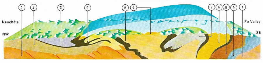 Structure of the western Alps.