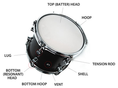 anatomy of a drum