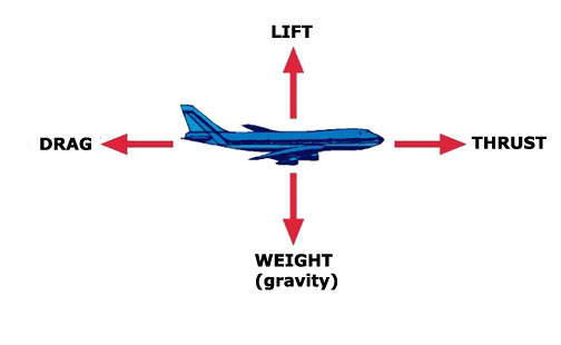 the four forces of flight