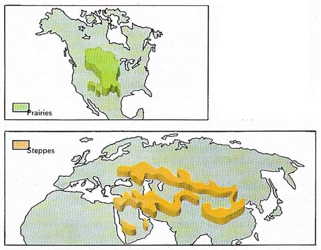 Prairies and steppes