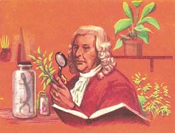 Linnaeus