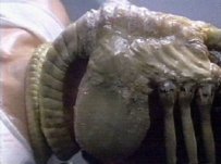 Alien facehugger