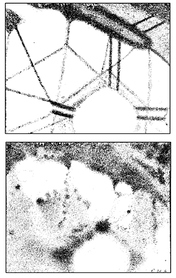 sketches of Mars by Schiaparelli and Antoniadi