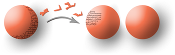 Banach-Tarski paradox