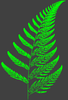 Barnsley's fern