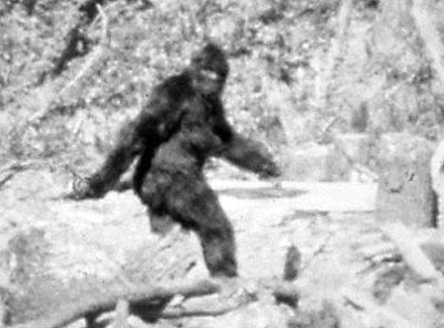 Bigfoot