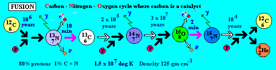 carbon-nitrogen cycle