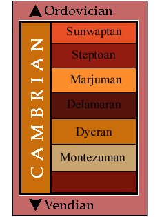 Cambrian