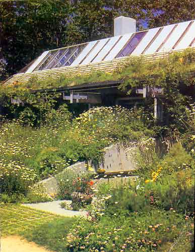 Cape Cod solar-earth home