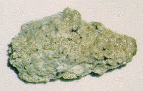 small fragment of the Chassigny meteorite