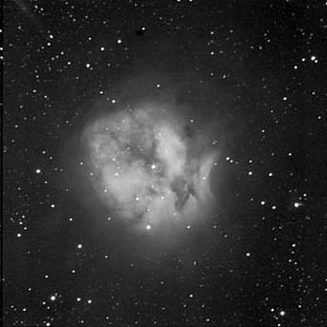 Cocoon Nebula (IC 5146)