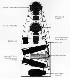 Corona cutaway view