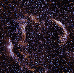 Cygnus Loop