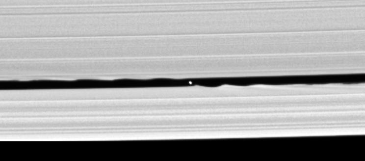 Daphnis