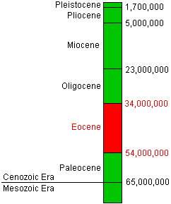 Eocene