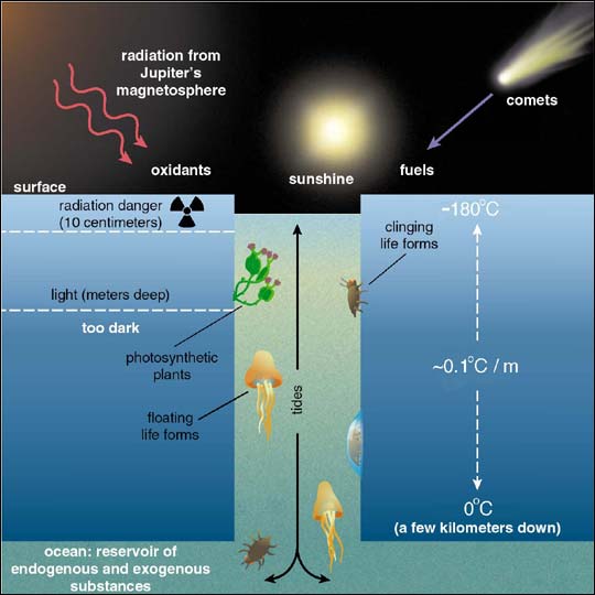 possible life on Europa