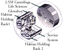 Gravitational Biology Facility