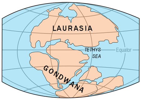 Gondwanaland and Laurasia