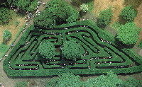 Hampton Court Maze