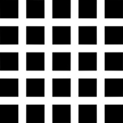 Hermann grid illusion