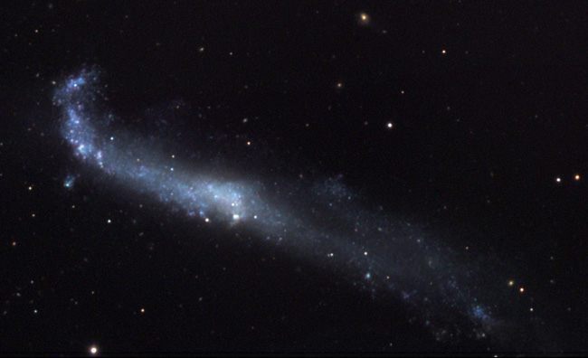 NGC 4656 (The Hockey Stick)