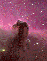 Horsehead Nebula (B33)