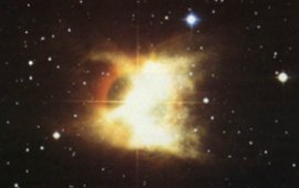 Toby Jug Nebula (IC 2220)