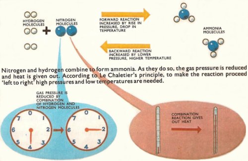 Le Chatelier's principle