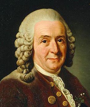 Linnaeus