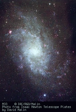 Triangulum Galaxy (M33, NGC 598