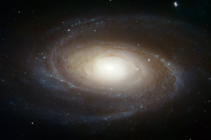 M81 (NGC 3031
