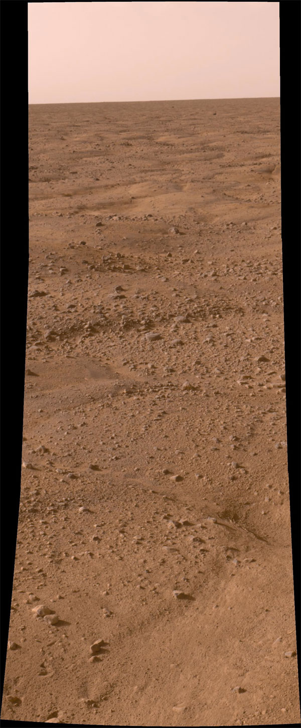 Mars Phoenix landscape
