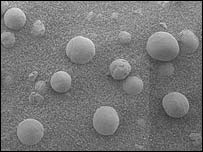 spherules in rock on Meridiani Planum