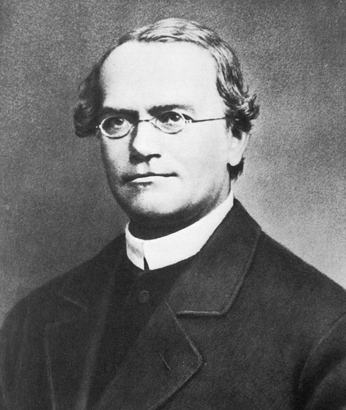 Gregor Mendel