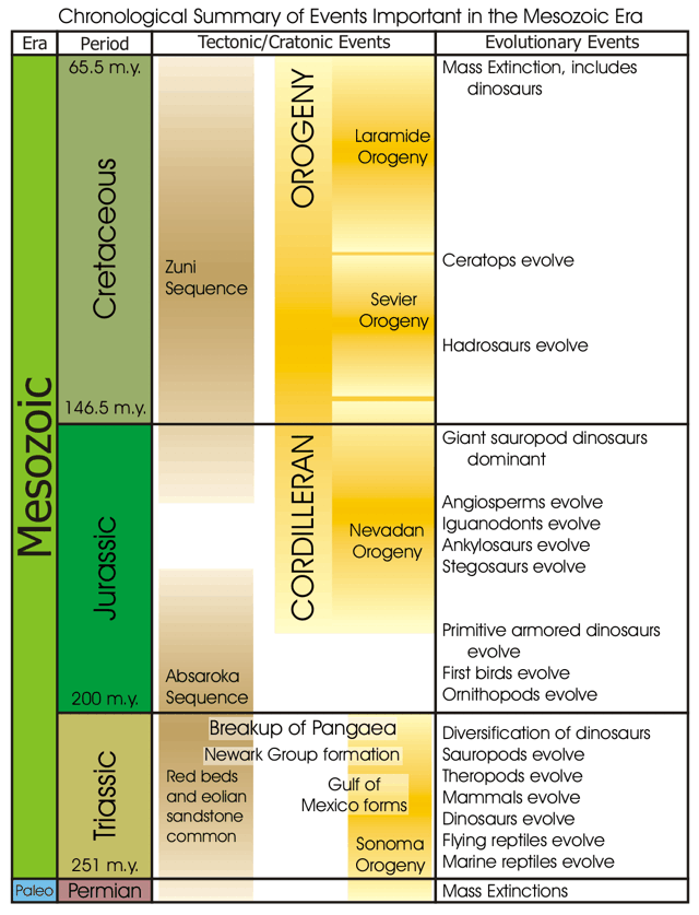 Mesozoic Era Chart