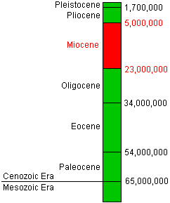 Miocene