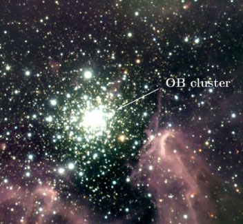 OB cluster