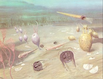 Ordovician marine scene