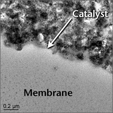Magnified image of catalyst in contact with the solid polymer electrolyte membrane of a fuel cell